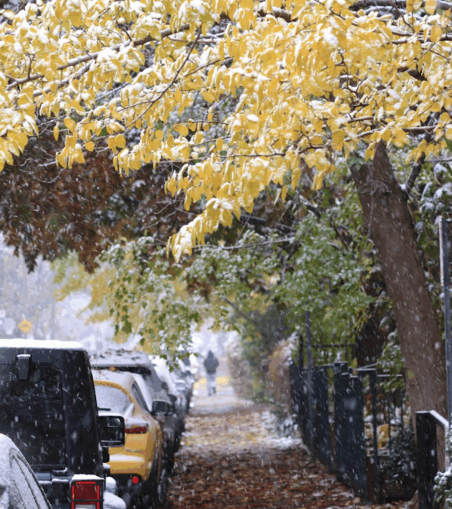 toronto snow