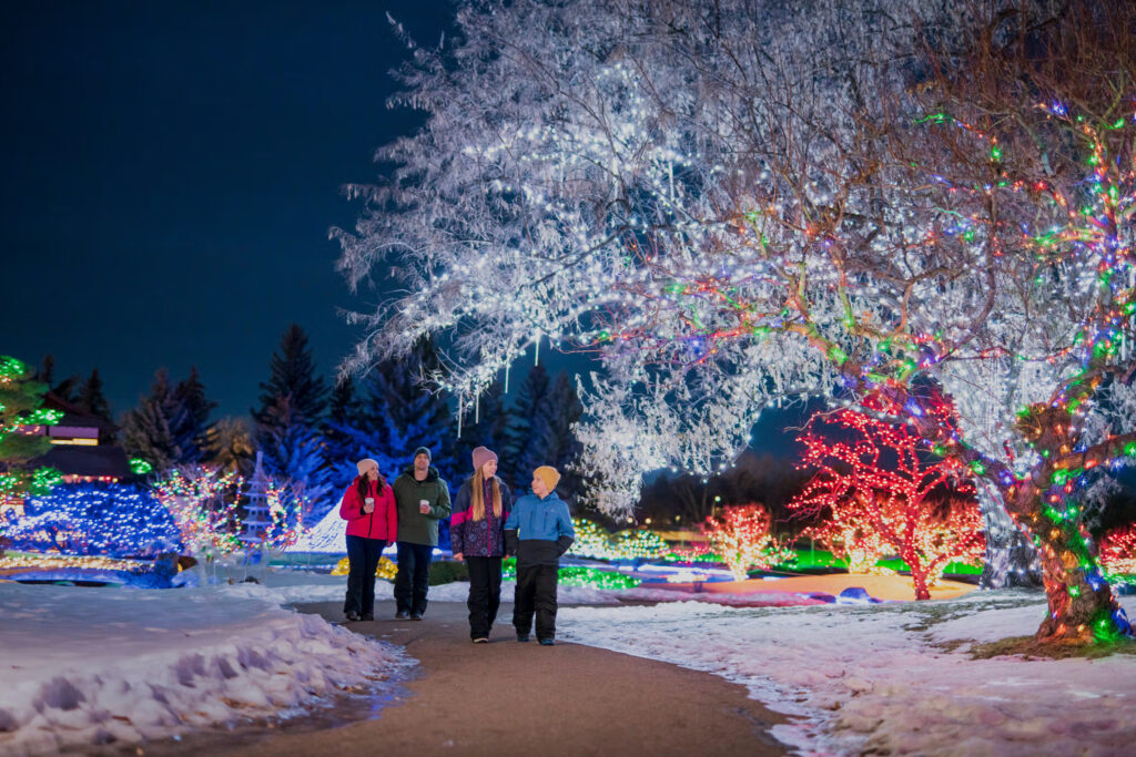 Over 170,000 lights sparkle in this peaceful Japanese garden near Calgary