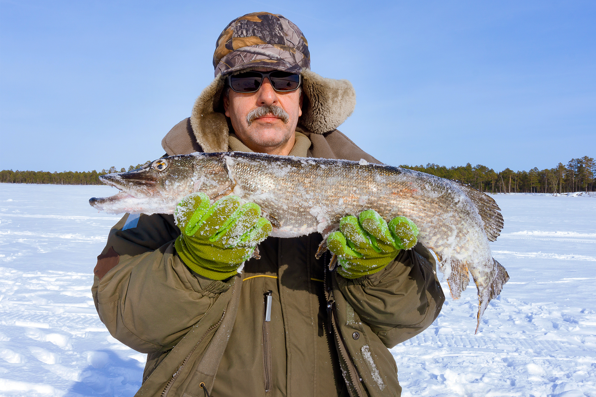 curiocity calgary ice fishing alberta pike fish