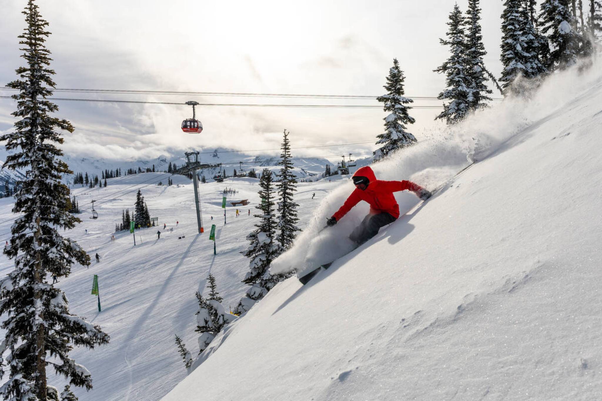 whistler