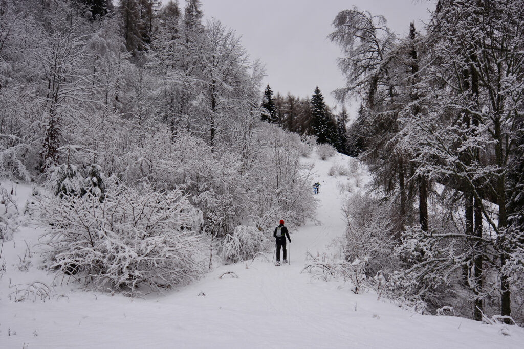 The best parks to snowshoe this winter in Calgary