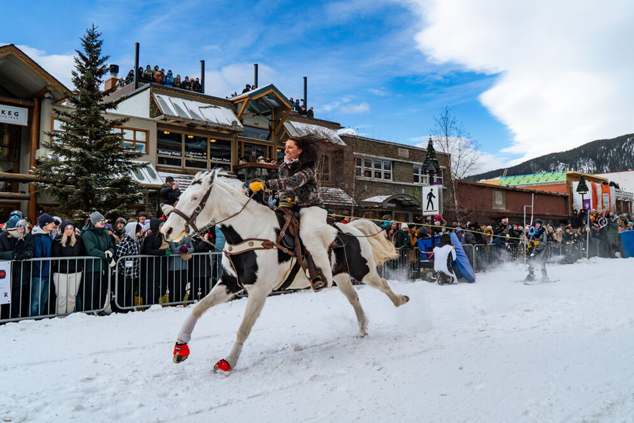curiocity calgary skijoring banff lake louise snowdays alberta