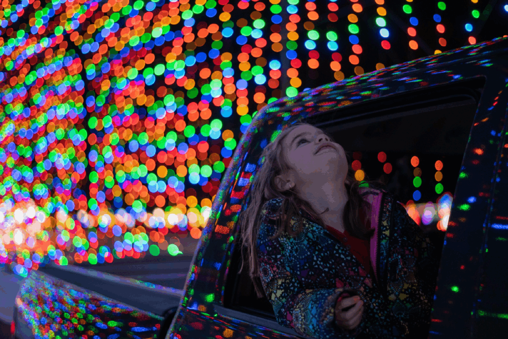 10 things to do this weekend in Edmonton (Dec. 26-28)