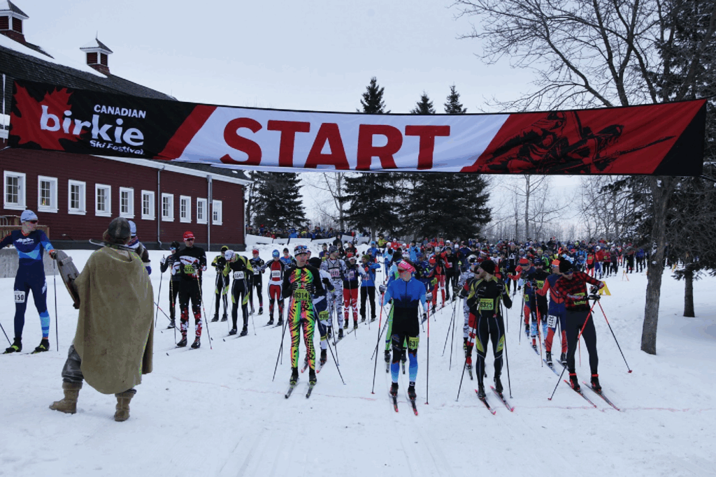This cross-country ski festival near Edmonton offers evening glides under starry skies This cross-country ski festival near Edmonton offers evening glides under starry skies