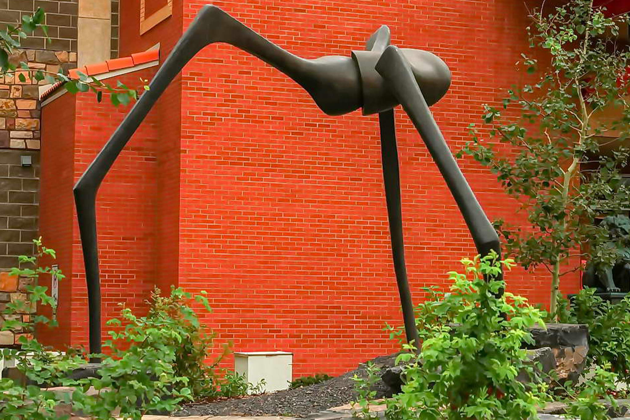 curiocity calgary ascension public art
