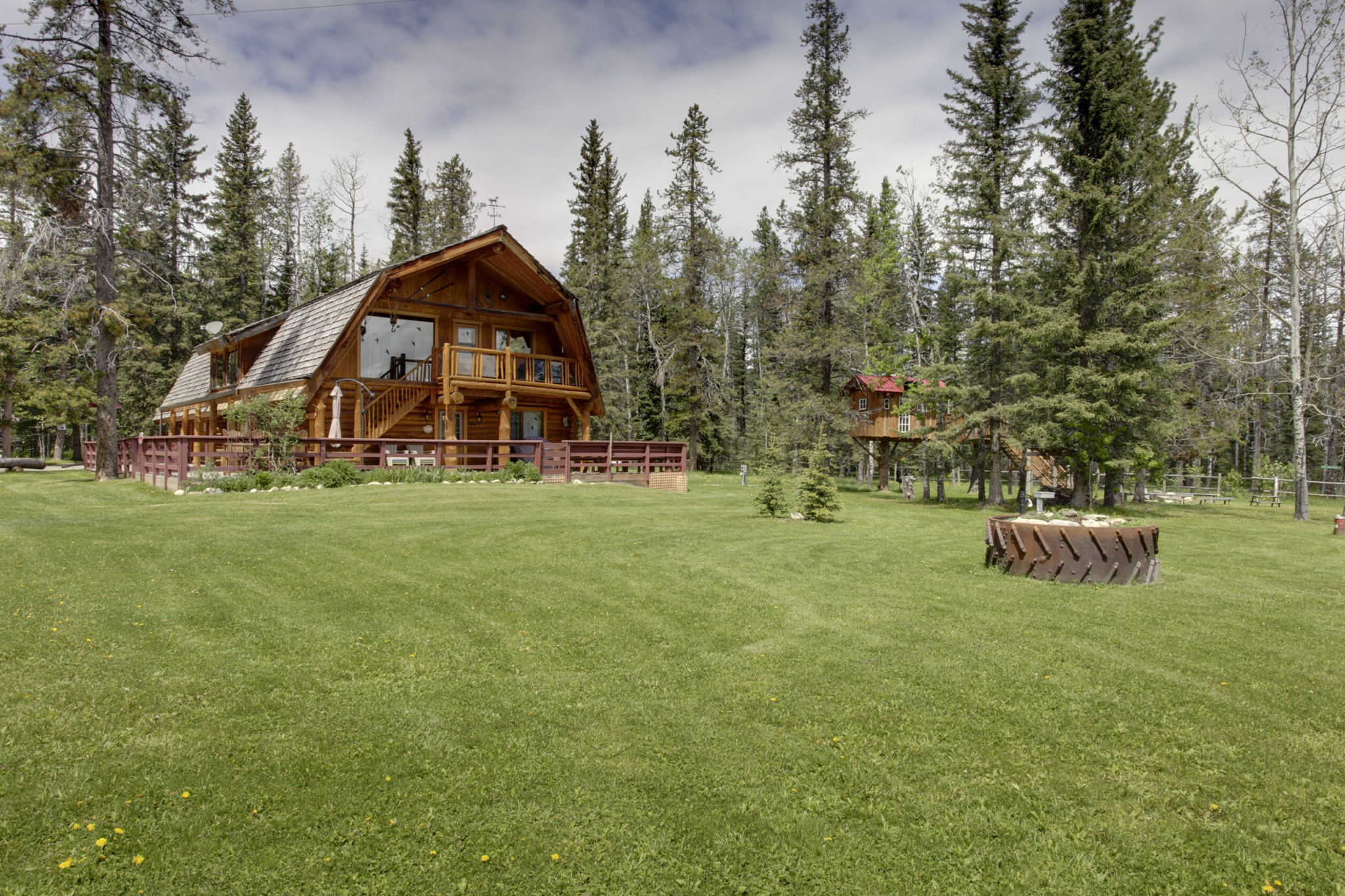curiocity calgary folk tree lodge alberta