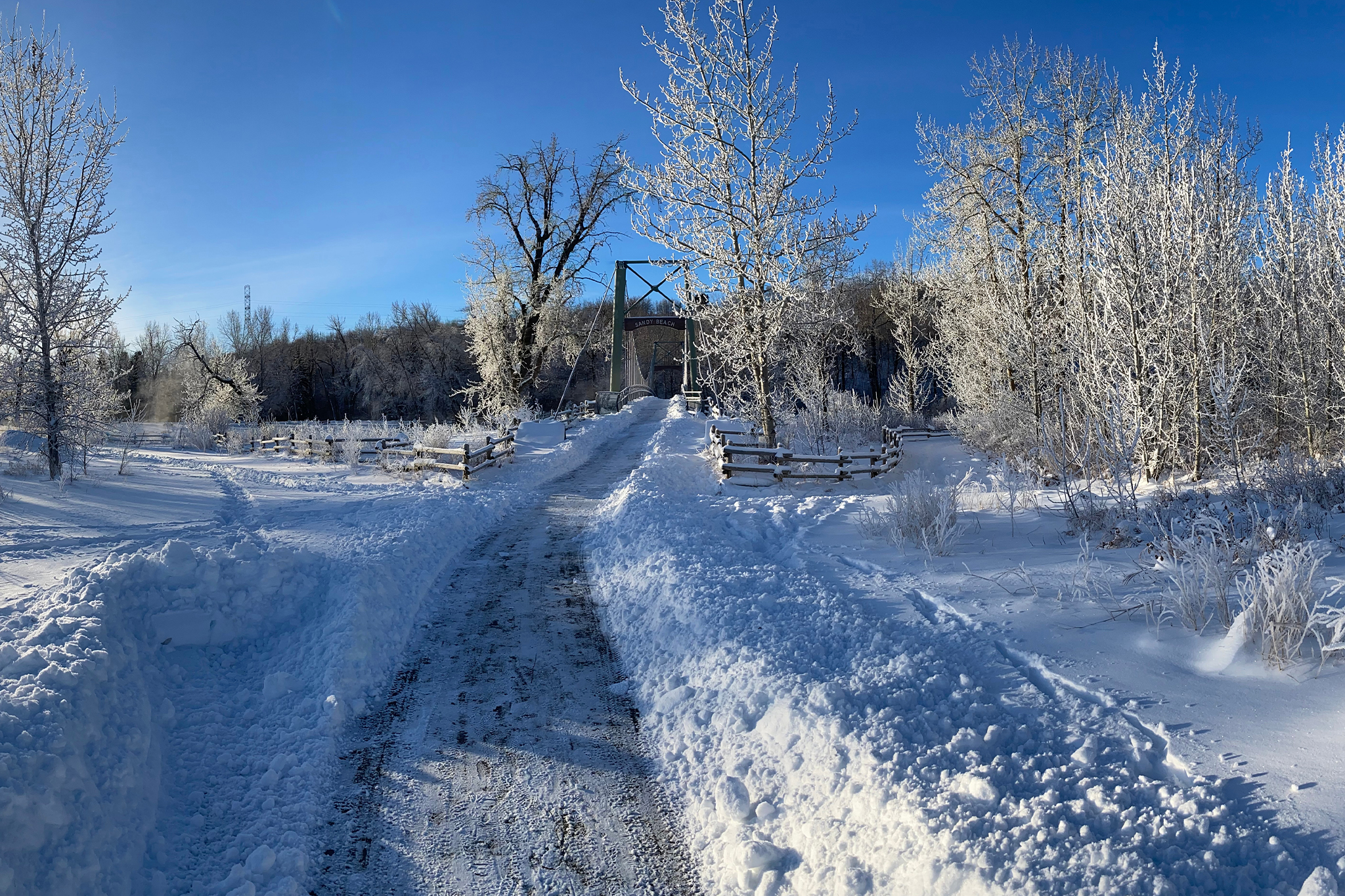 curiocity calgary hoarfrost winter pathway