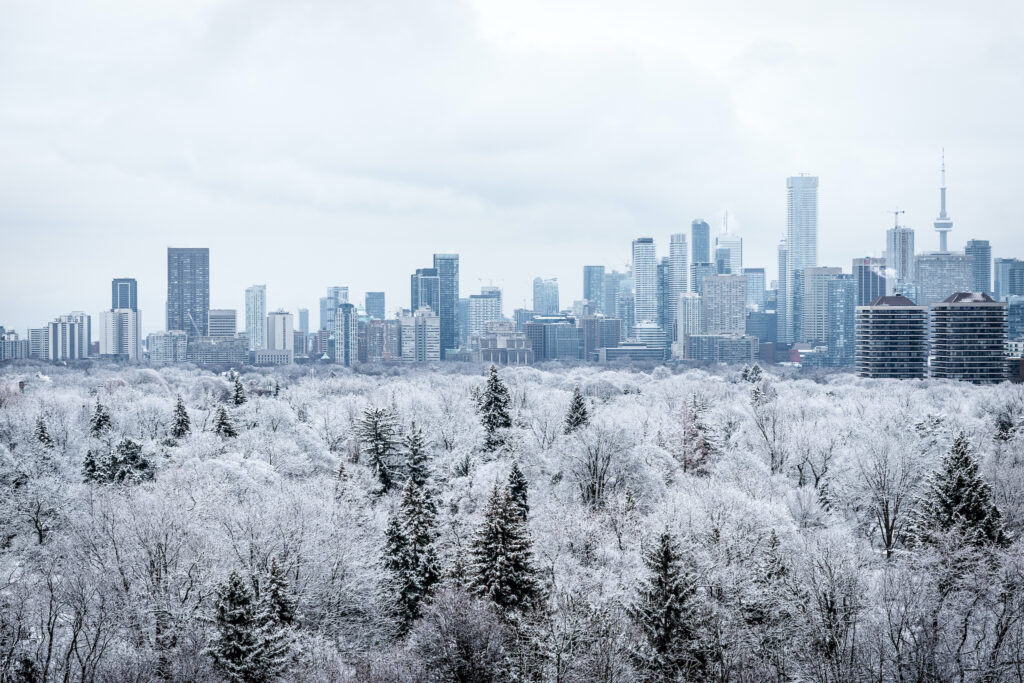 10 things to do this weekend in Toronto (Jan. 16-18)