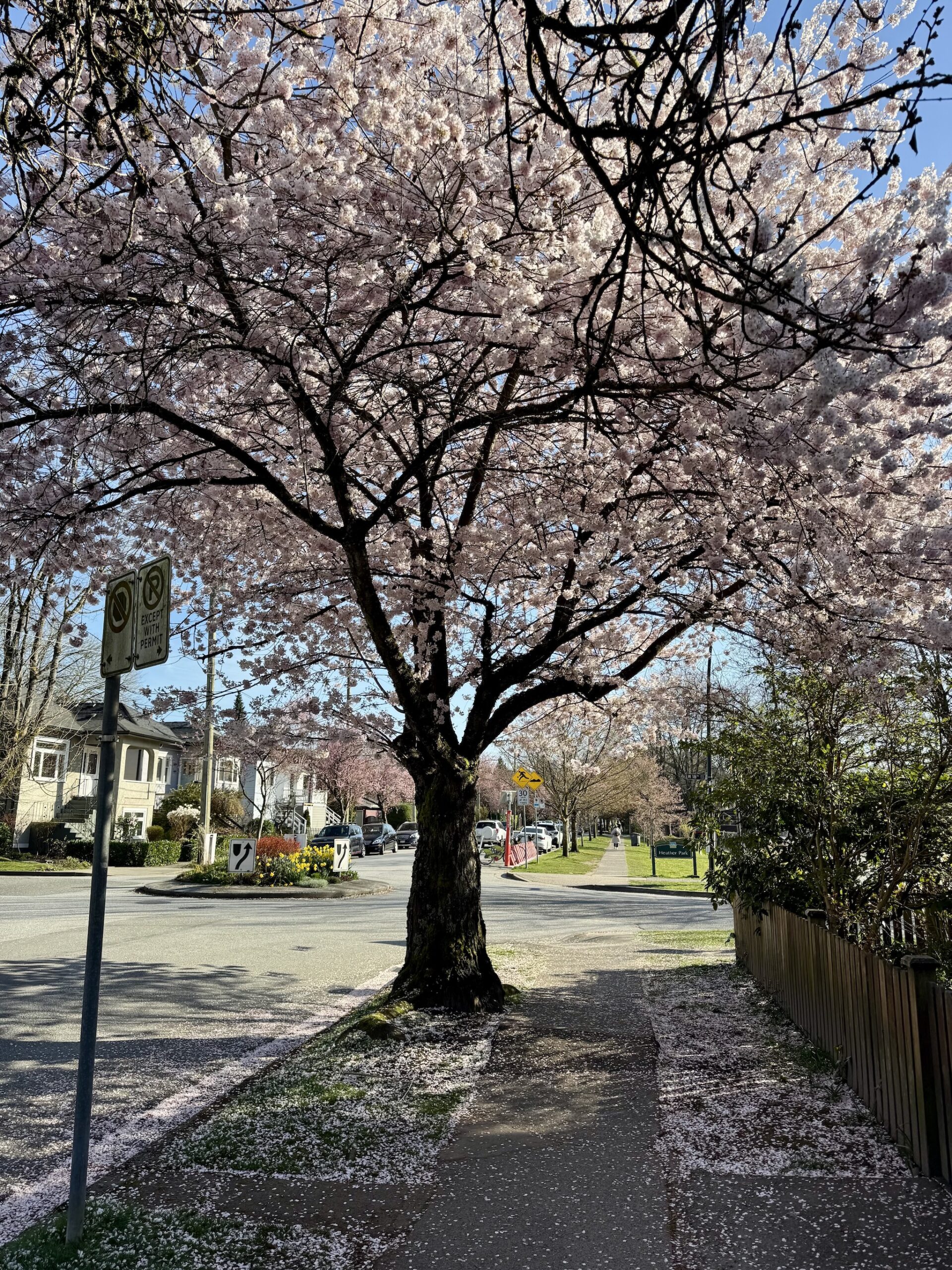 vancouver group chat week march 31