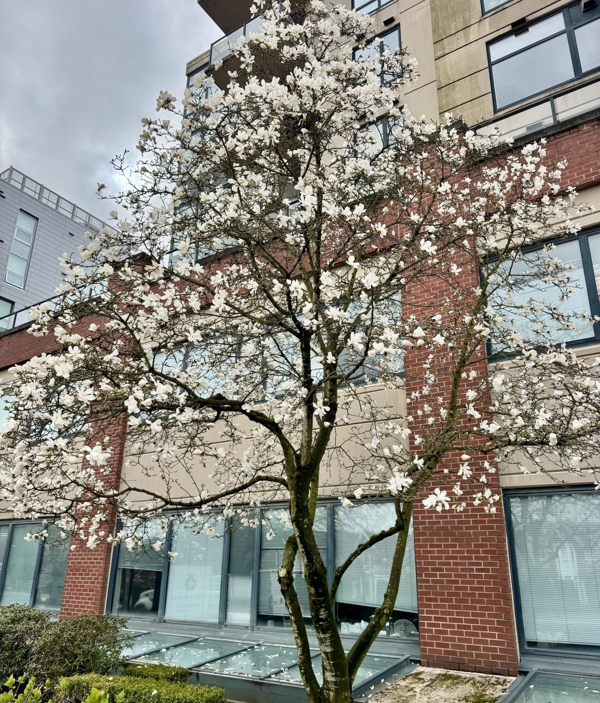 the vancouver group chat