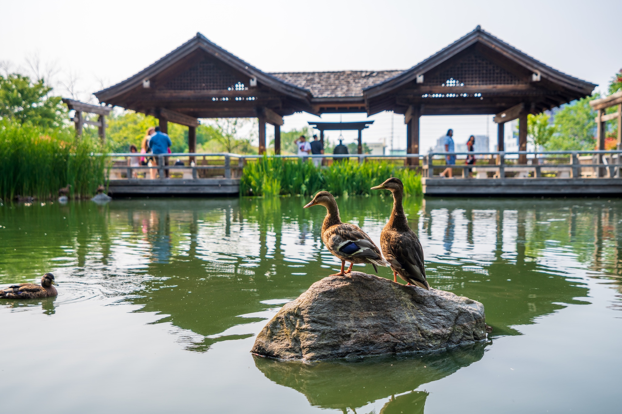 Kariya Park Mississauga