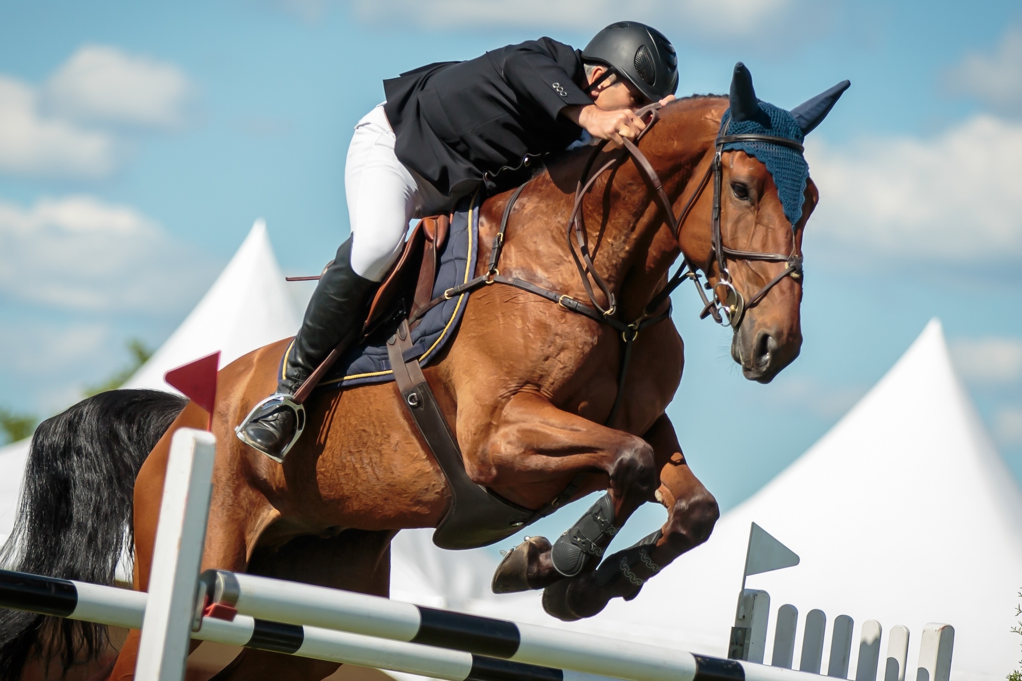 Horse jumping fence at horse show