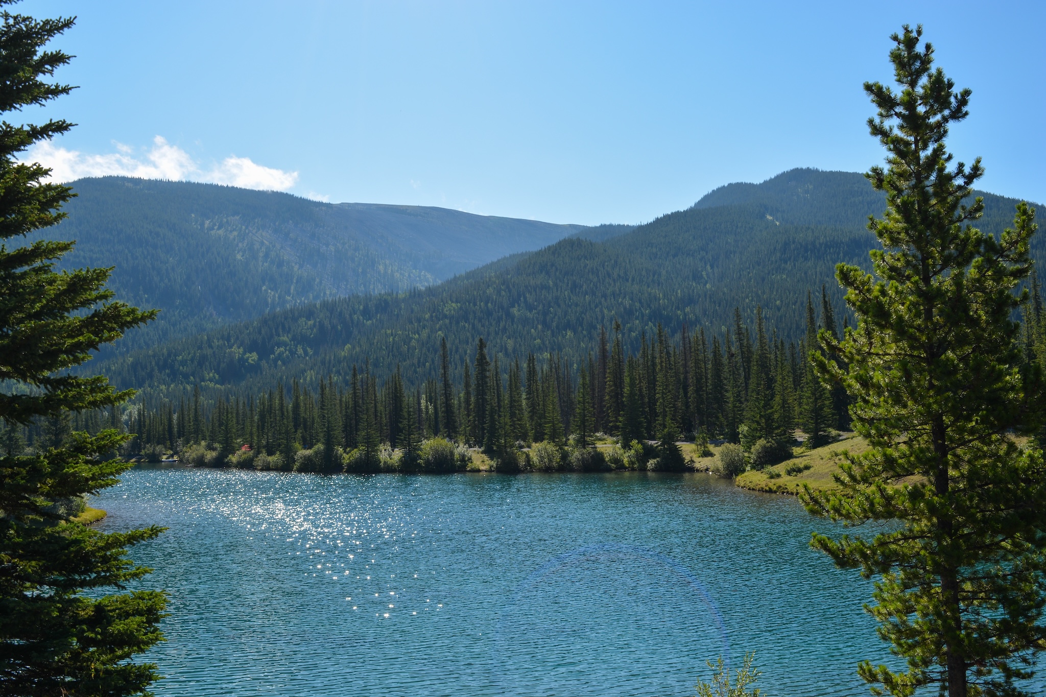 Forgetmenot pond in Bragg Creek Alberta