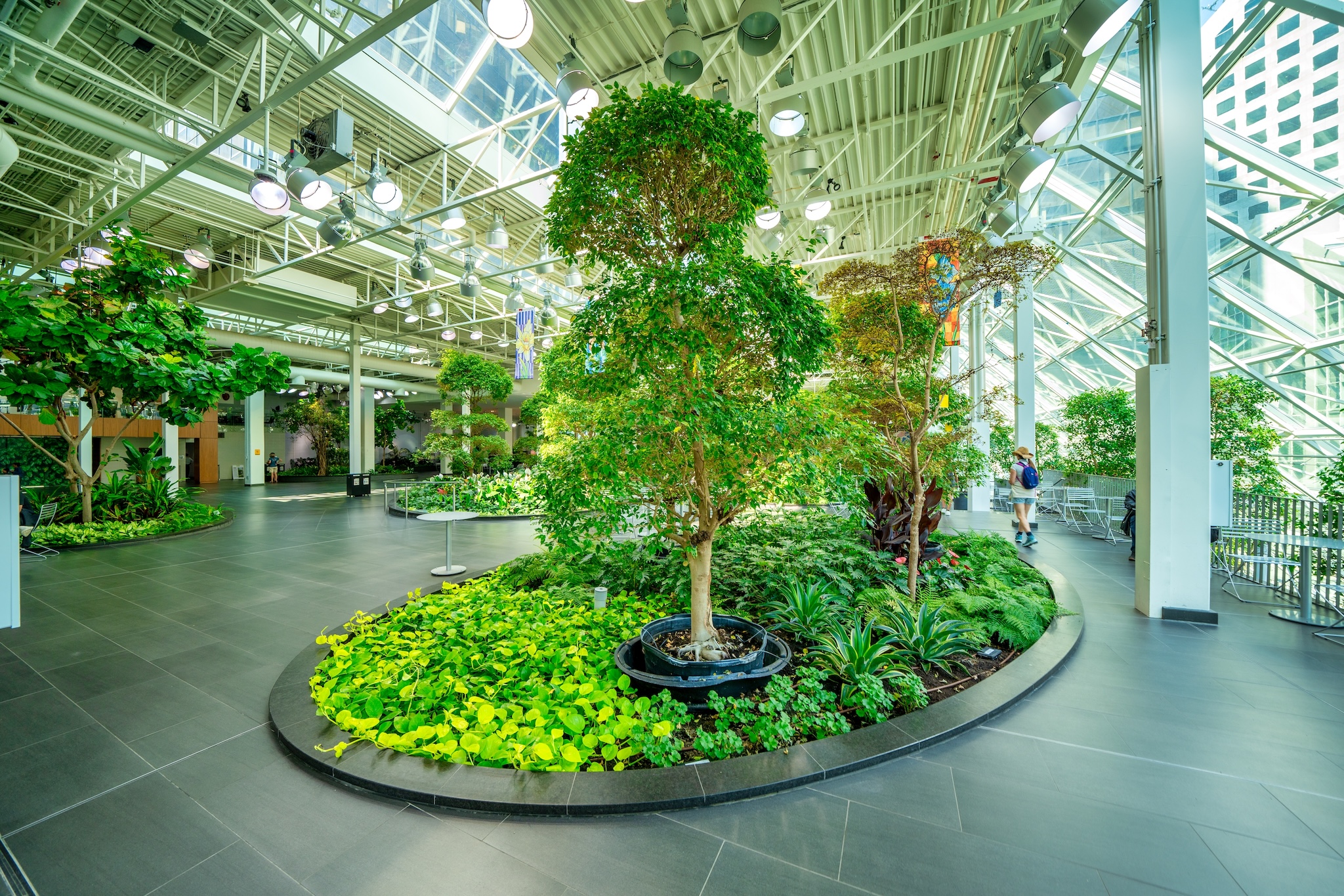 Devonian Gardens in the CORE shopping centre.