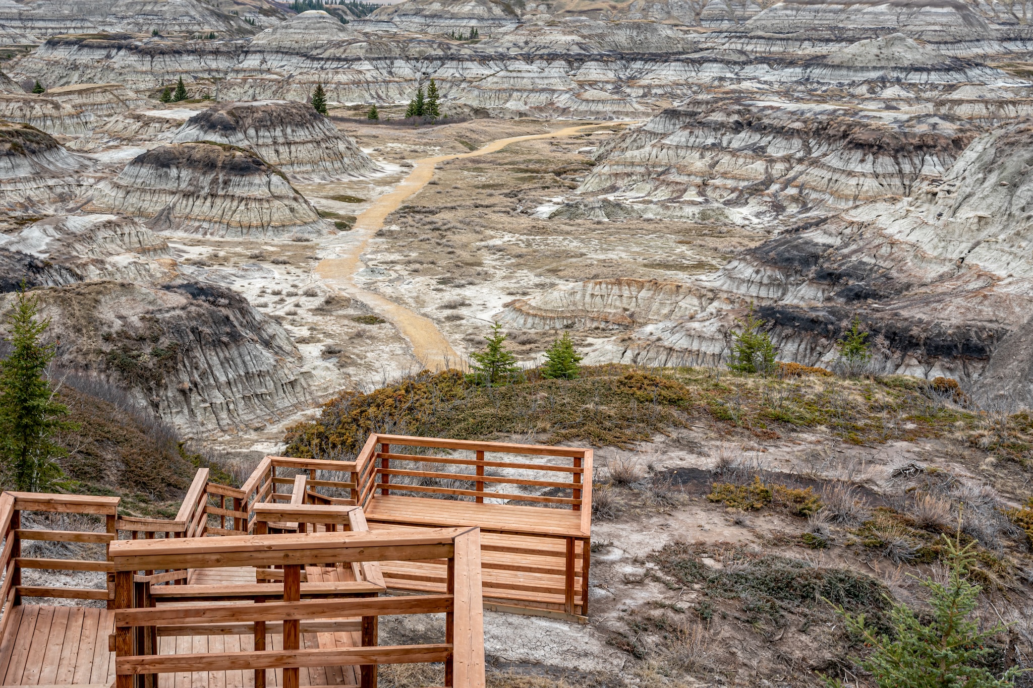 Horse Shoe Canyon in late spring, Canadian Badlands in summer, Drumheller, Alberta, Canada