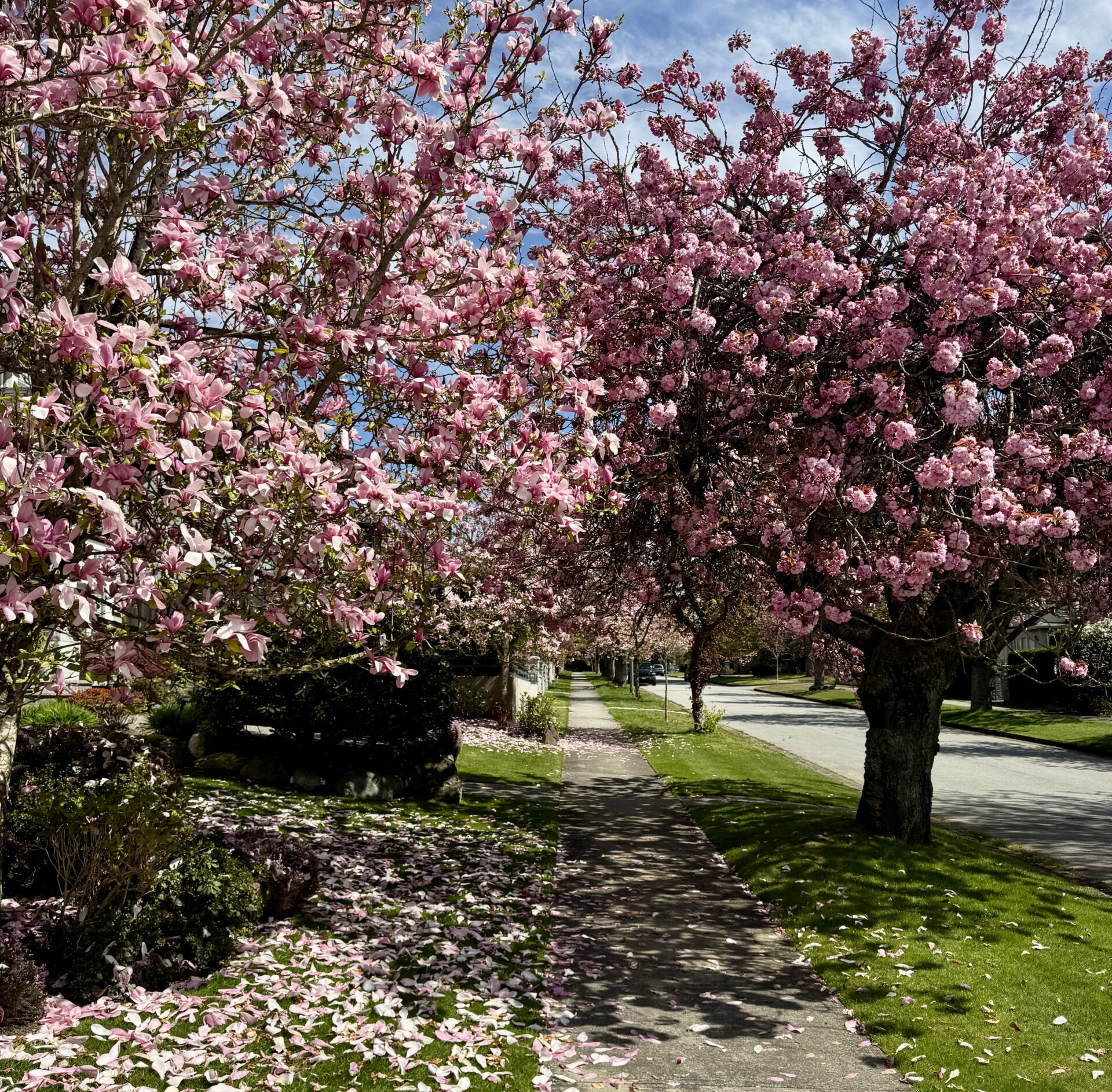 vancouver group chat