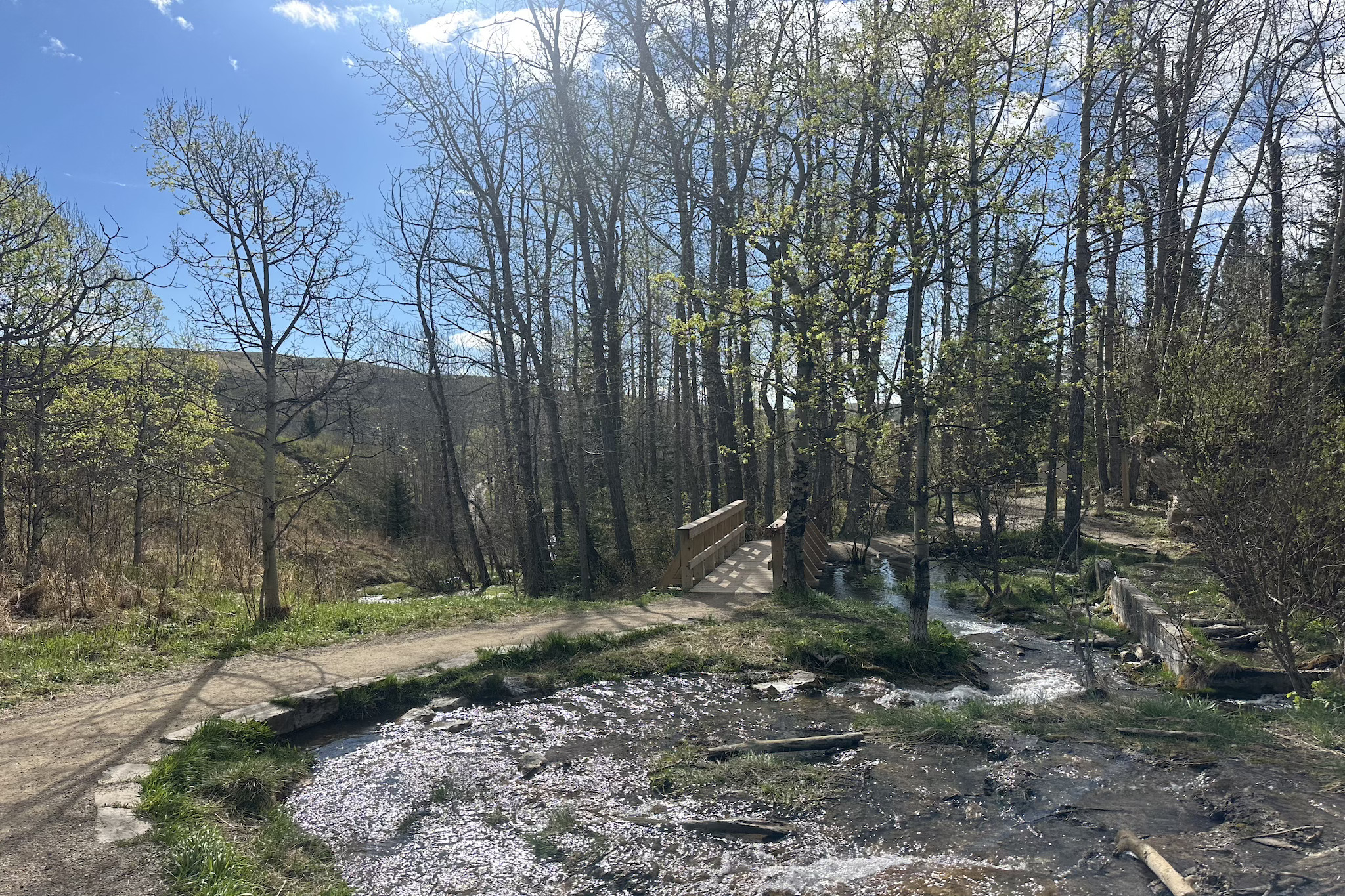 Big Hills Springs Provincial Park, Alta.