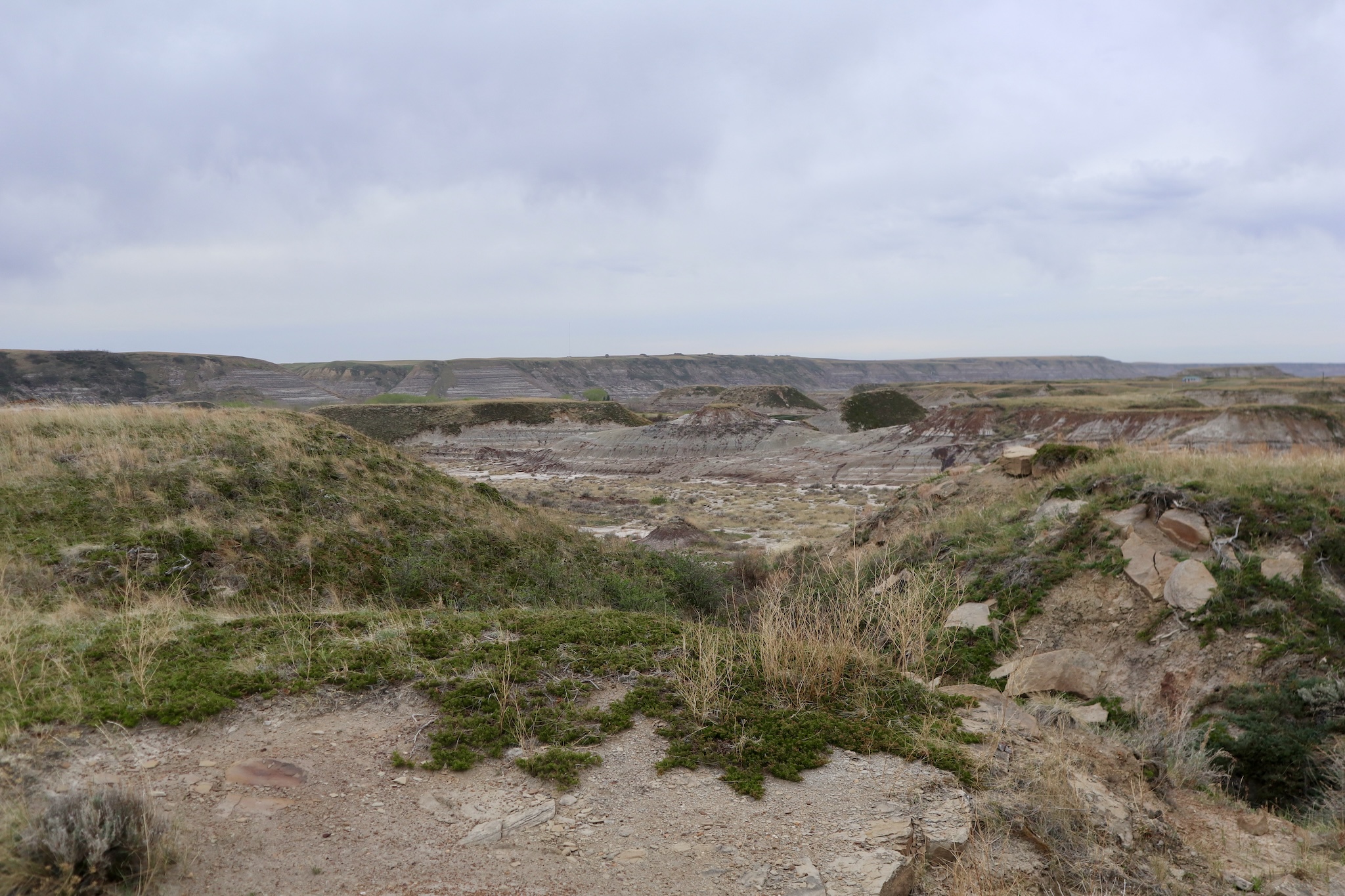 hoodoos in Drumheller, Alta.