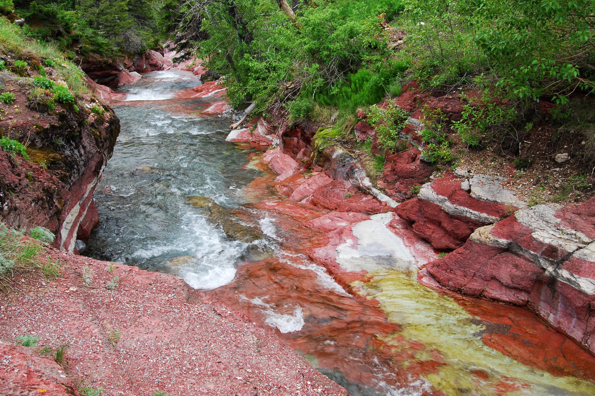 The red rock creek and canyon in waterton lakes national park, alberta, canada