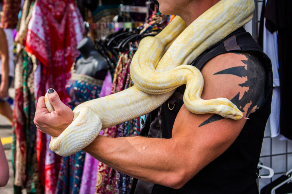 North America’s largest and longest-running Fringe Festival takes place in Edmonton North America’s largest and longest-running Fringe Festival takes place in Edmonton