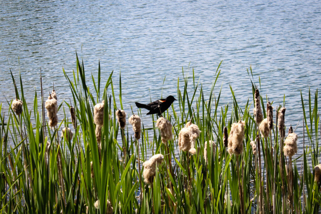 This town near Edmonton has over 50 trails connecting to rivers and scenic views This town near Edmonton has over 50 trails connecting to rivers and scenic views