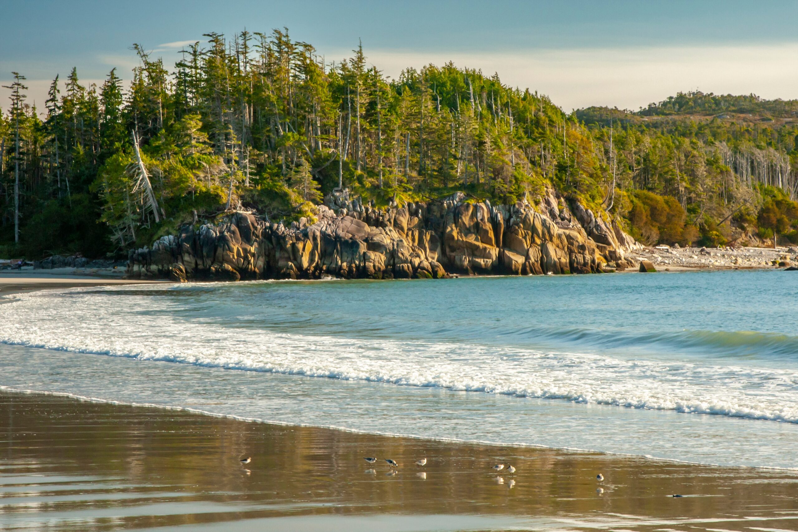 calvert island bc