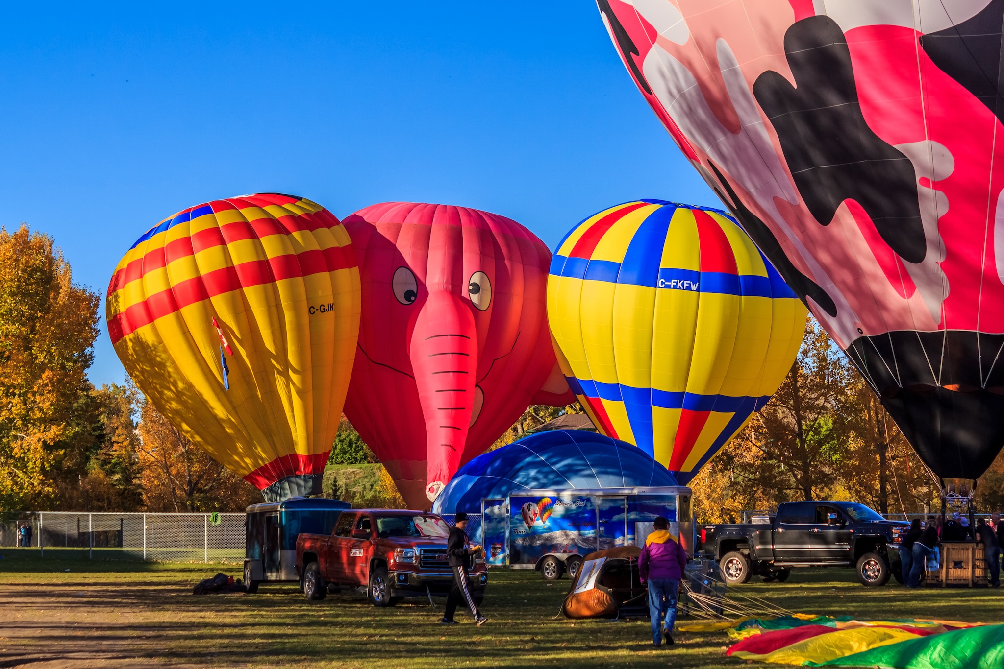 Heritage Inn International Balloon Festival, High River, Alberta, Canada. Hot air balloons and trees with yellow leaves are visible in the photo.