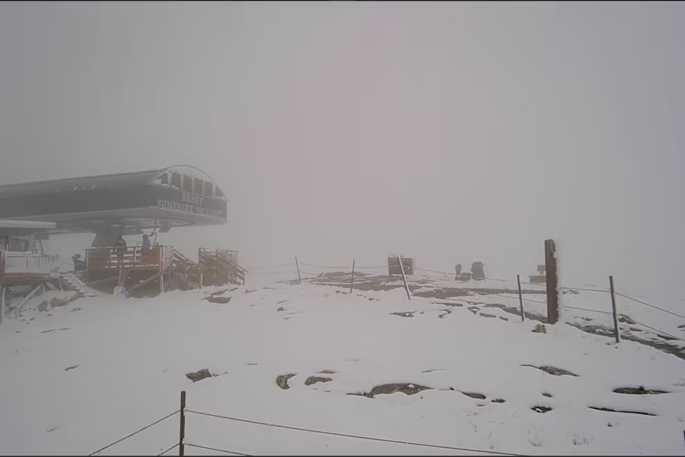 august snow alberta