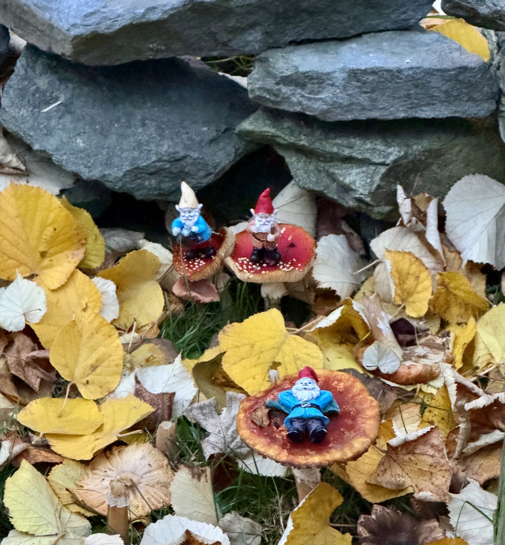 first day of fall 2026