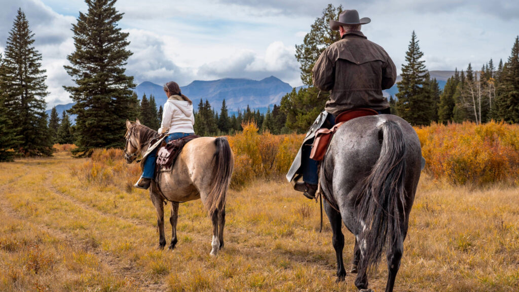 5 places in Alberta where you can go horseback riding this fall 5 places in Alberta where you can go horseback riding this fall