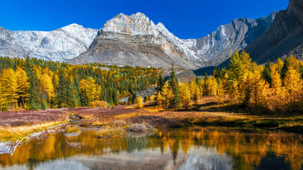 This breathtaking Albertan escape has spas, trails, and endless Rocky Mountain views This breathtaking Albertan escape has spas, trails, and endless Rocky Mountain views