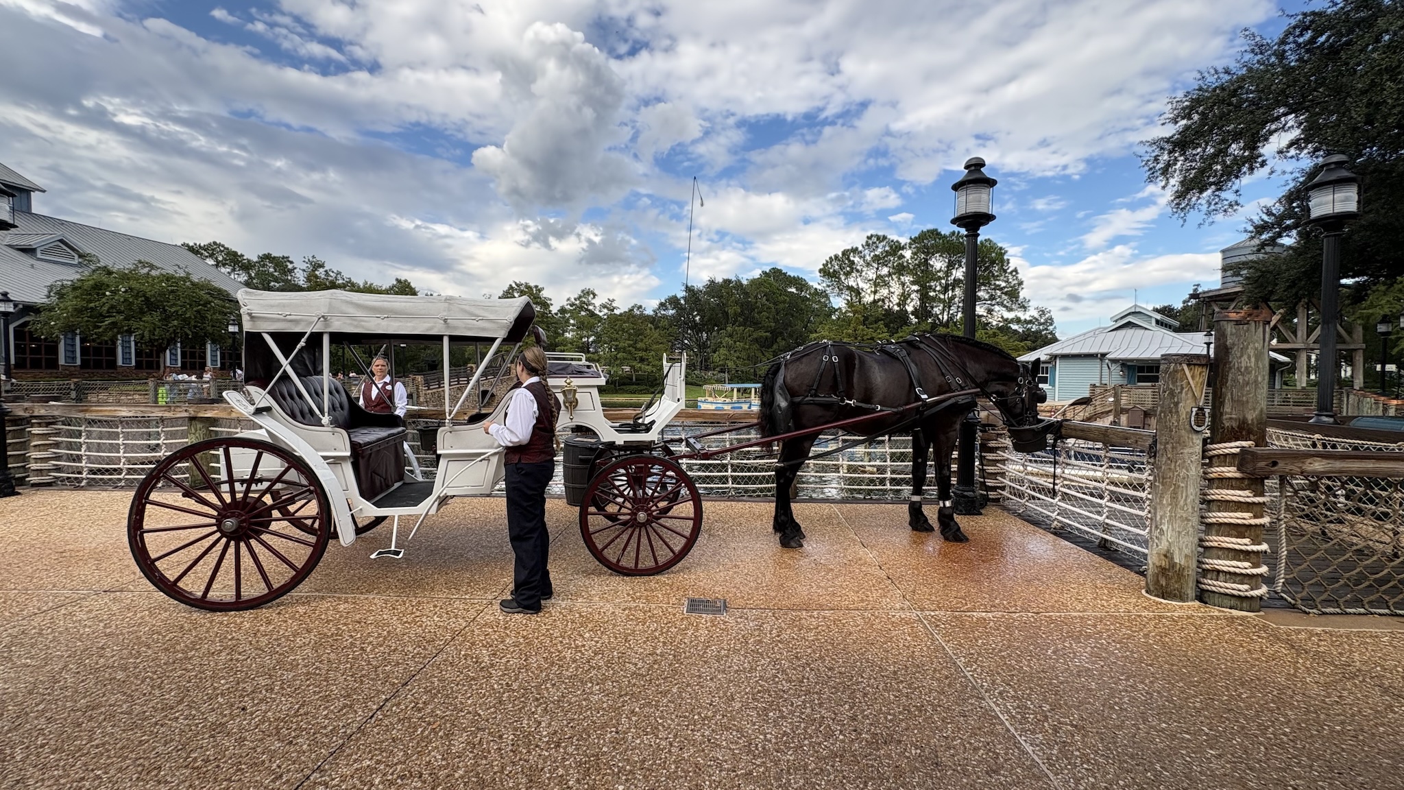 horse drawn carriages